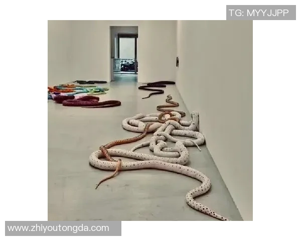 加莱诺的艺术世界探索与文化传承之旅