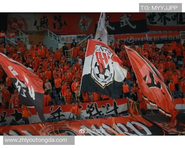 鲁能与华夏激战正酣足球比赛直播精彩瞬间回顾与分析