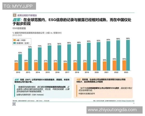 康恩的创新之路：如何在竞争激烈的市场中脱颖而出并实现可持续发展