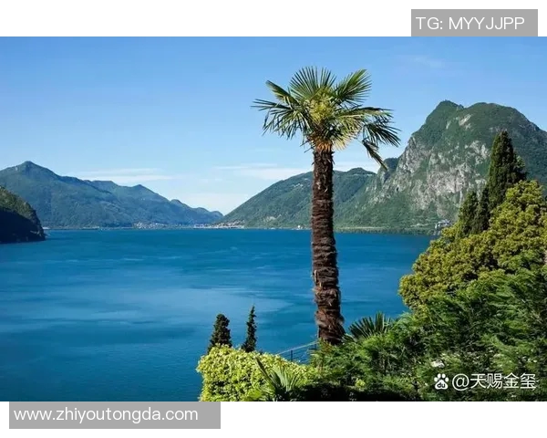 探索卢加诺的魅力之旅:湖畔风光与文化遗产的完美结合 探索卢加诺的魅力之旅:湖畔风光与文化遗产的完美结合