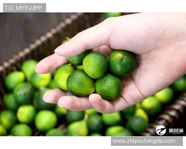 奶茶兄弟与豆浆爸爸的美味对决谁才是饮品界的王者