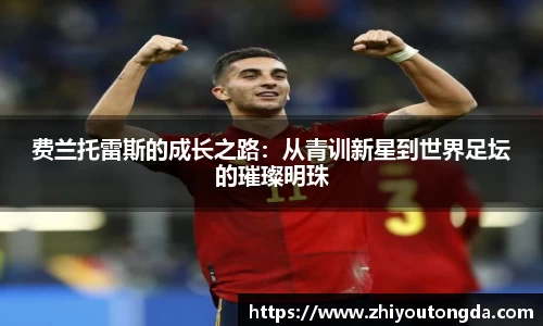 费兰托雷斯的成长之路：从青训新星到世界足坛的璀璨明珠